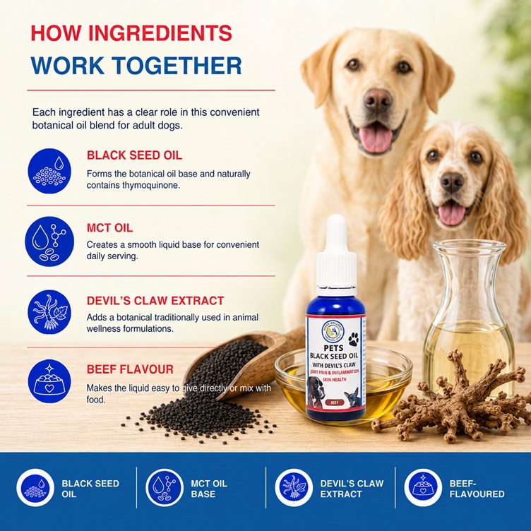 Super Wellness Black Seed Oil for Dogs with Devil's Claw 30ml - Image 3